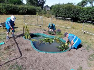 pond work