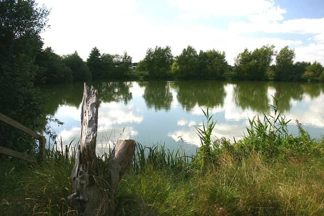 Nunnery Lakes Nature Reserve